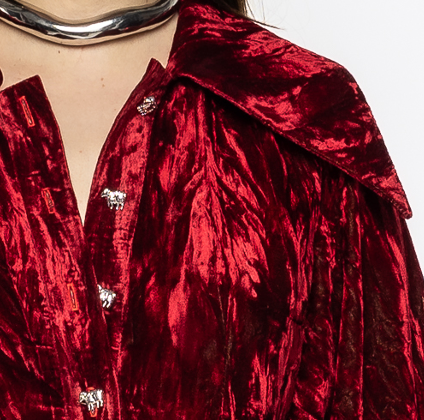 Allegra - Chushed Velvet Blouse Red