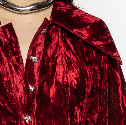 Allegra - Chushed Velvet Blouse Red